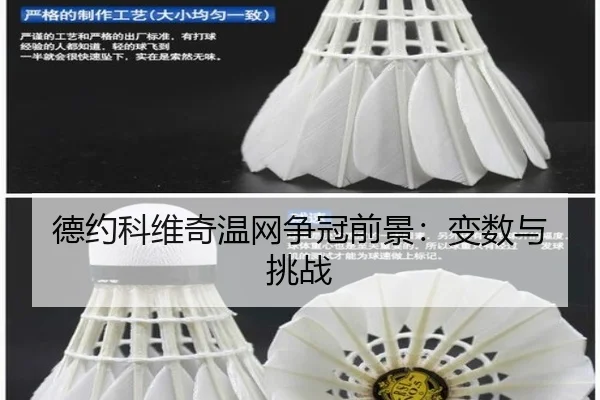 德约科维奇温网争冠前景：变数与挑战